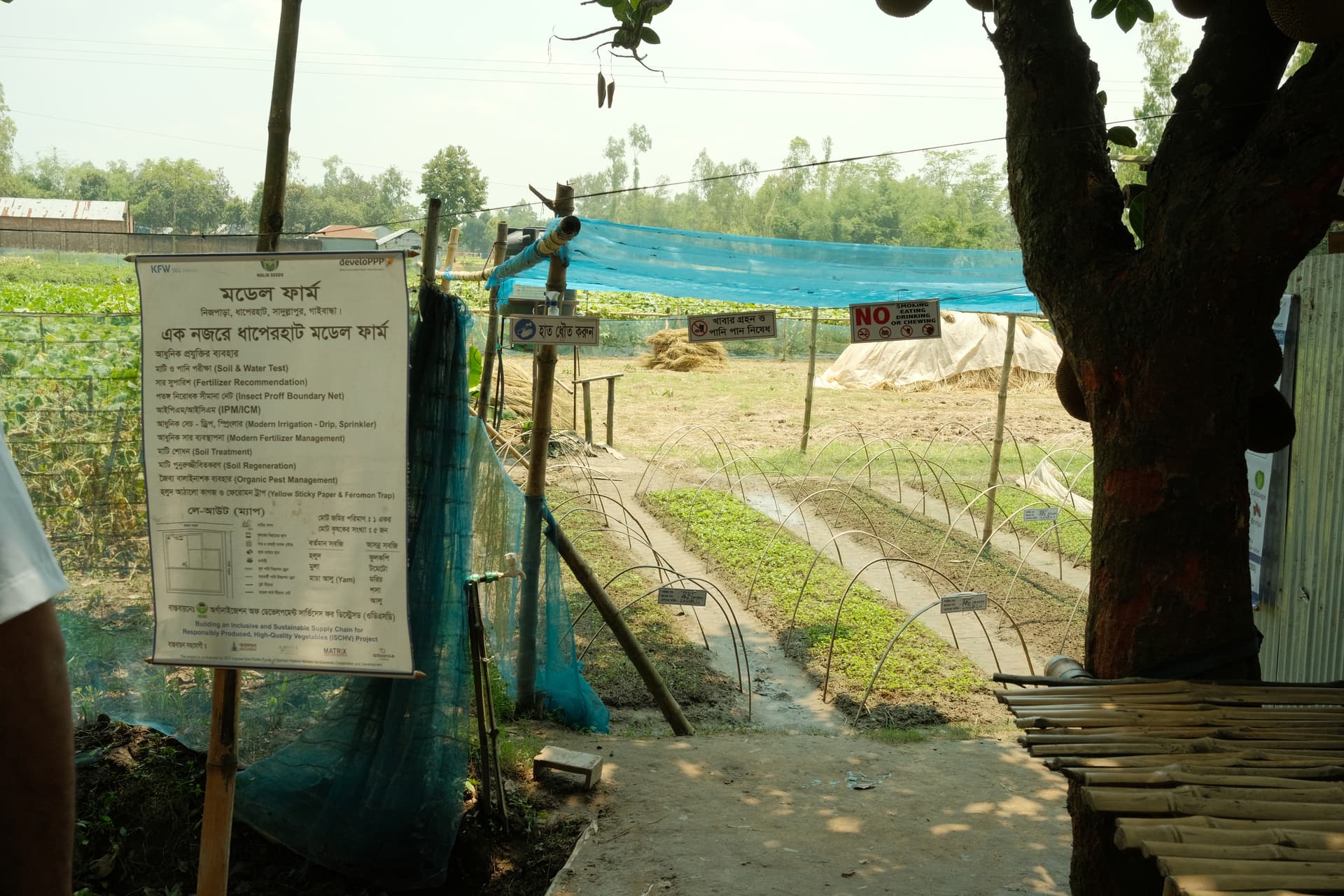 Certified farms across Bangladesh - image 3